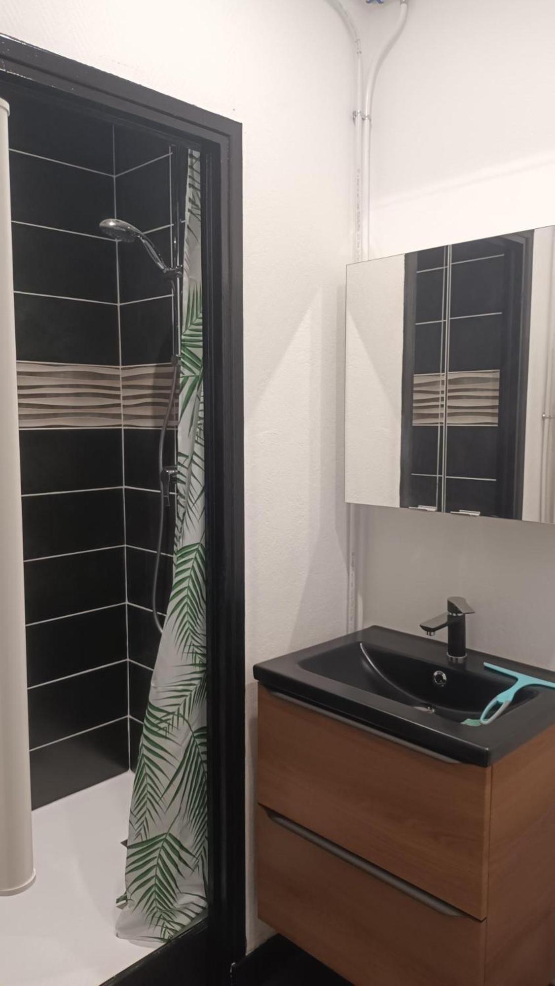 Appartement T1 Proche De Vulcania Pontaumur Экстерьер фото