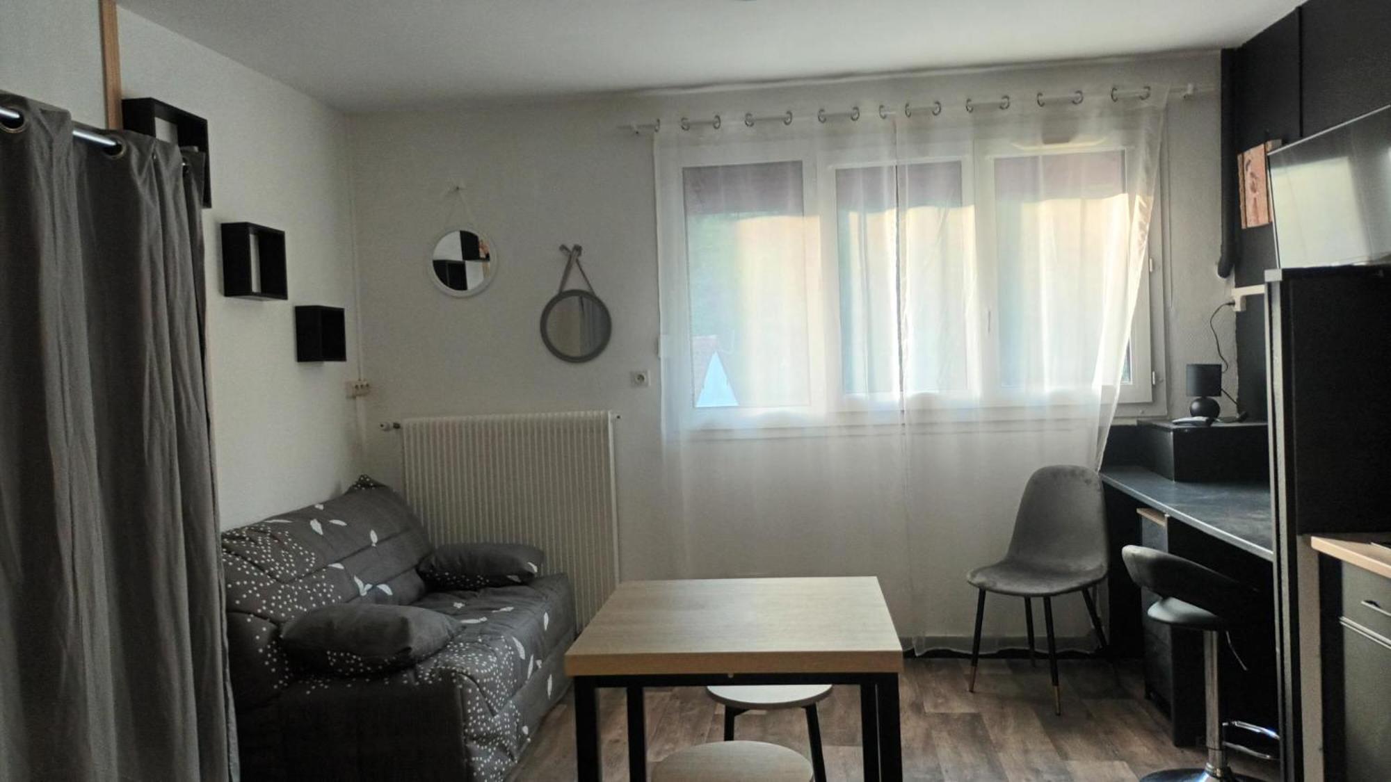 Appartement T1 Proche De Vulcania Pontaumur Экстерьер фото